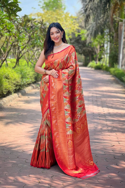 Red Kanchipattu Silk Saree