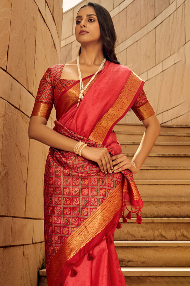 Cinnabar Red Patola Silk Saree