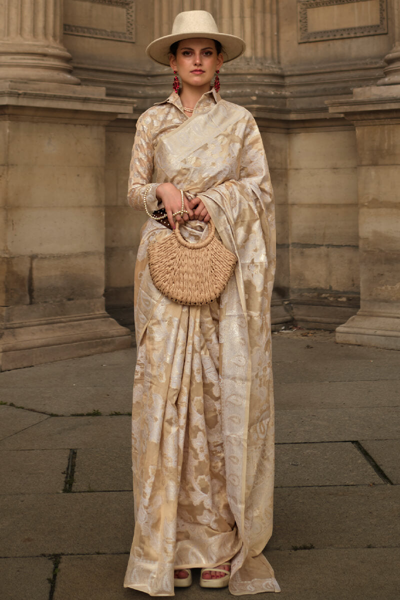 Dark Beige Lucknowi Chikankari Saree